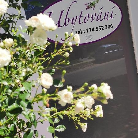 Apartman Cafe U Kordulky Ratiskovice Exterior foto